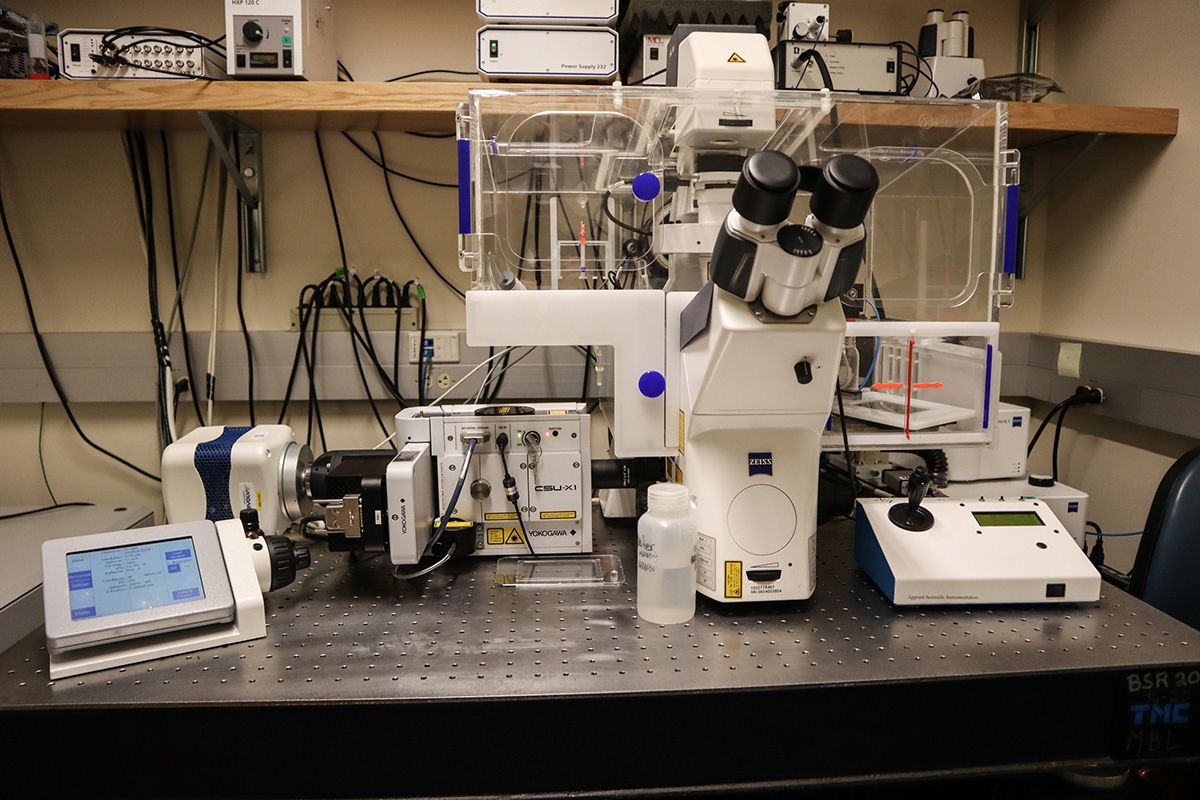 CMF Equipment | Marine Biological Laboratory